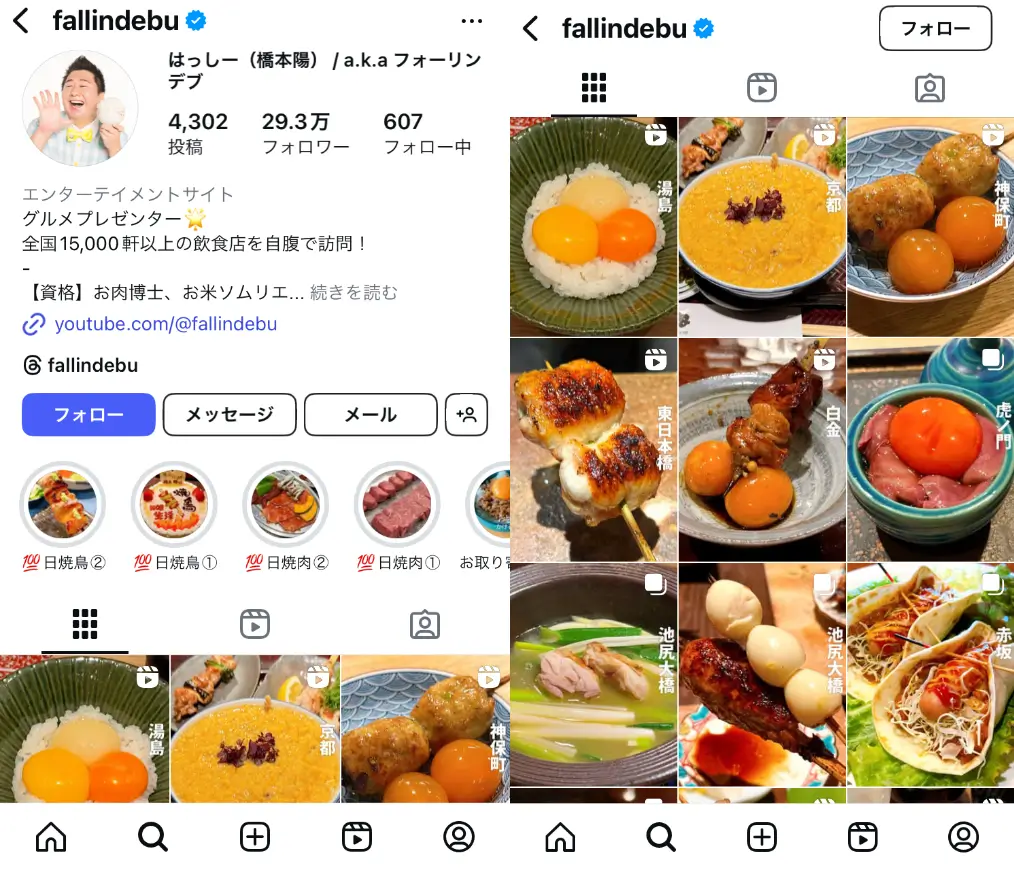 Instagram-fallindebu