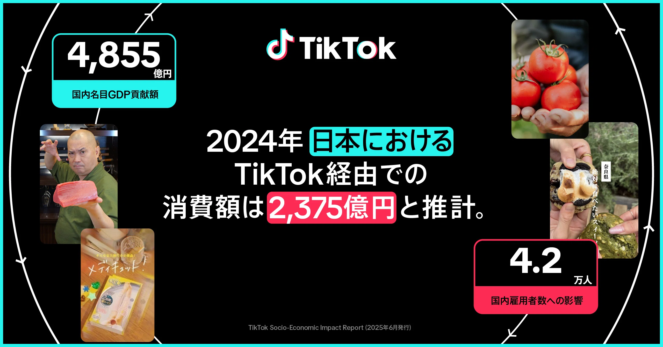 tiktok-economic-impact-2024