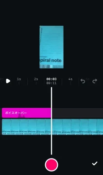 Edits-Voice-2
