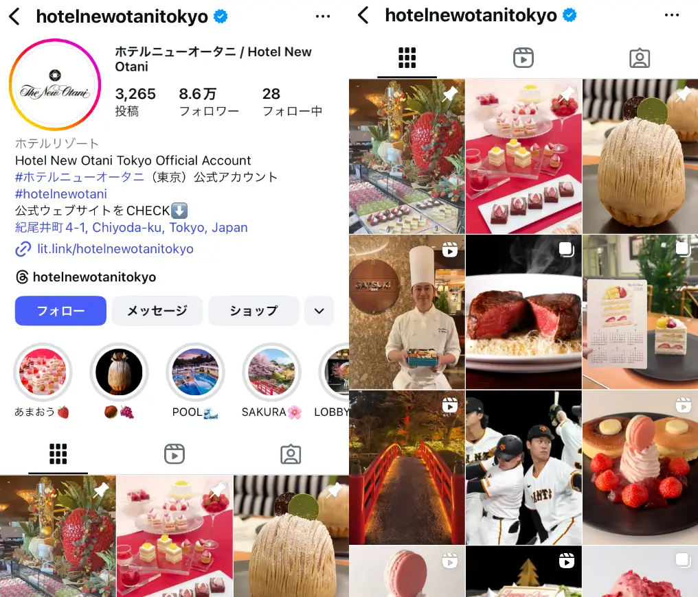 Instagram-hotelnewotanitokyo