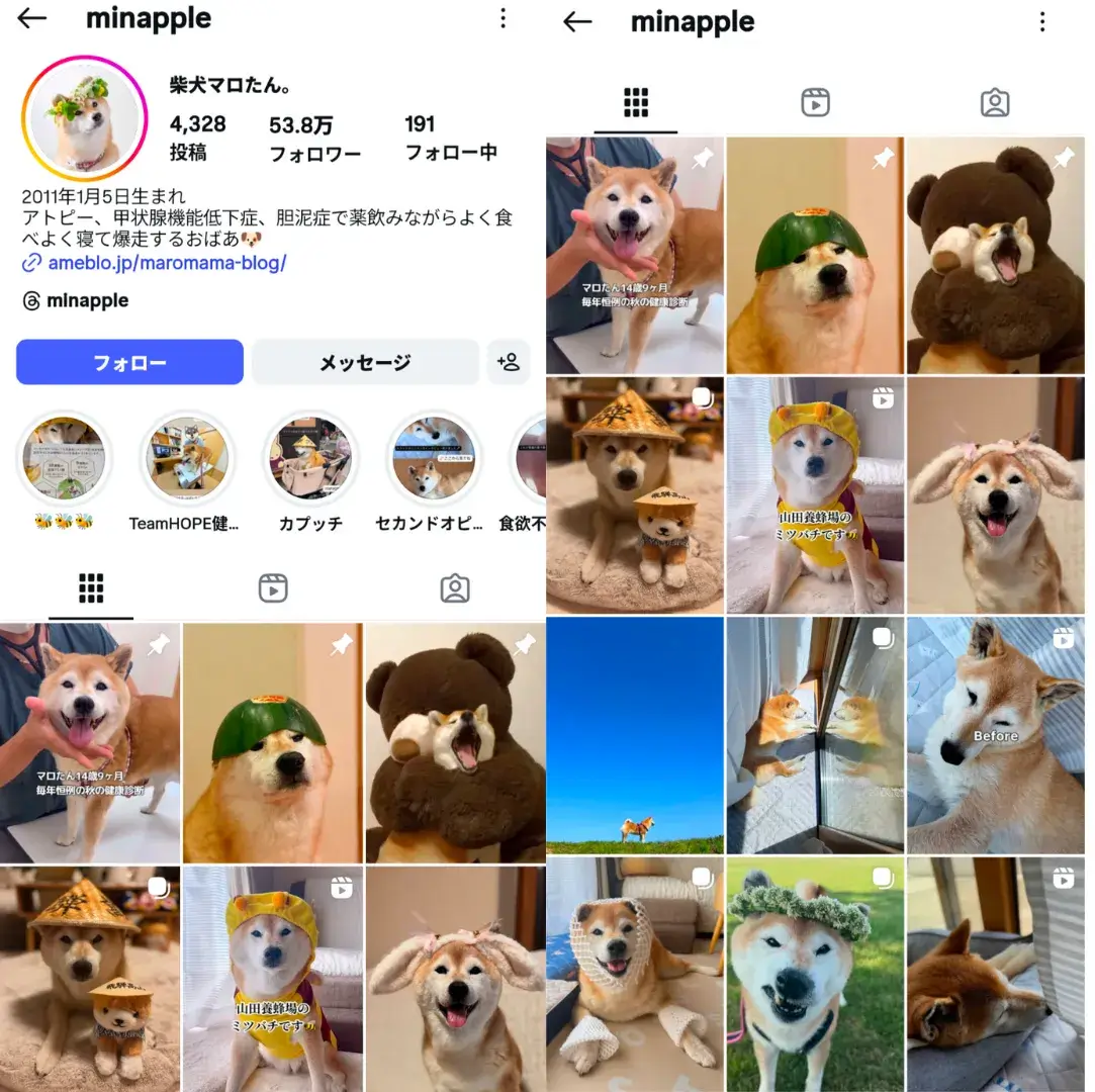 instagram-influencer-minapple