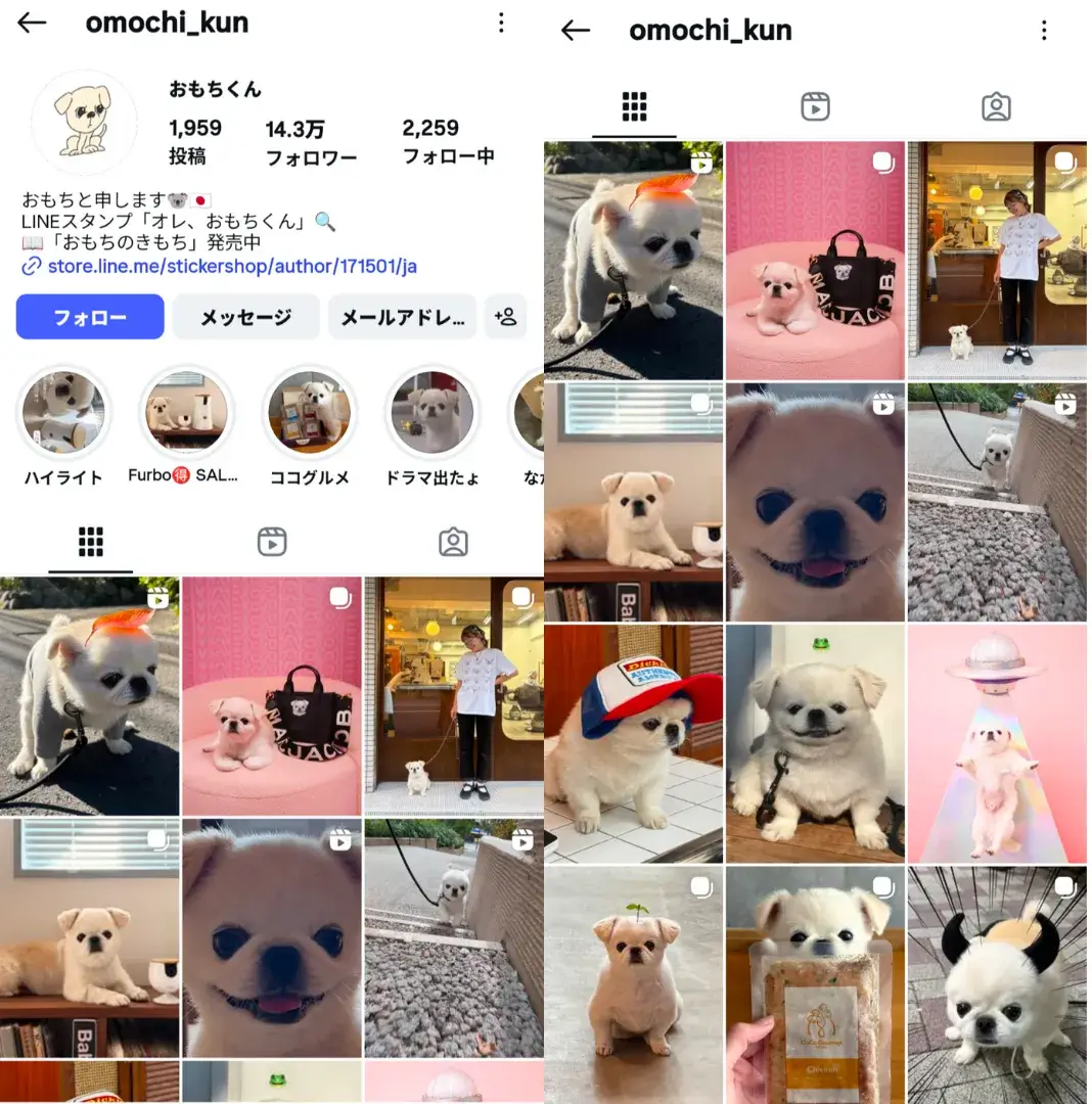 instagram-influencer-omochi-kun