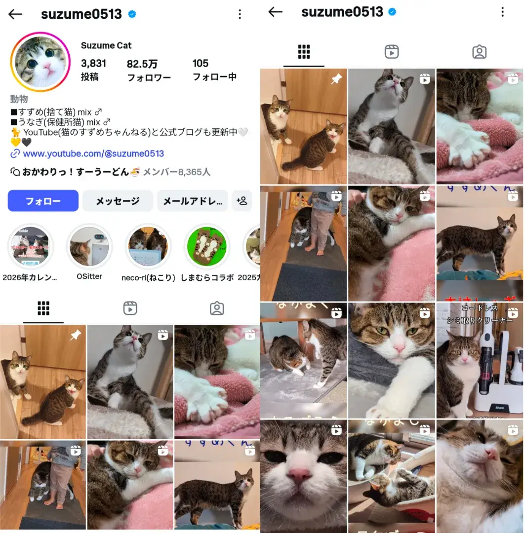 instagram-influencer-suzume0513