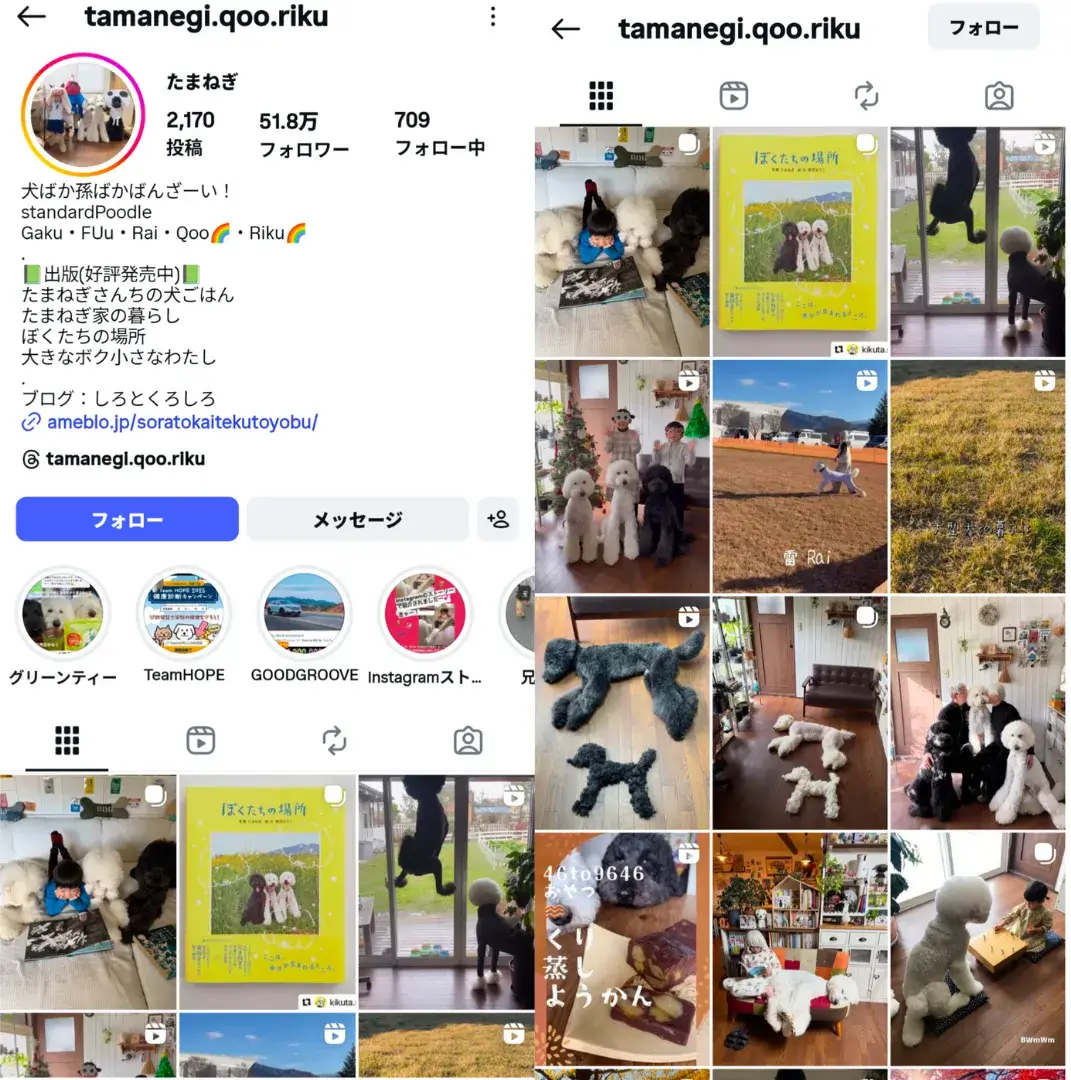 instagram-influencer-tamanegi-qoo-riku