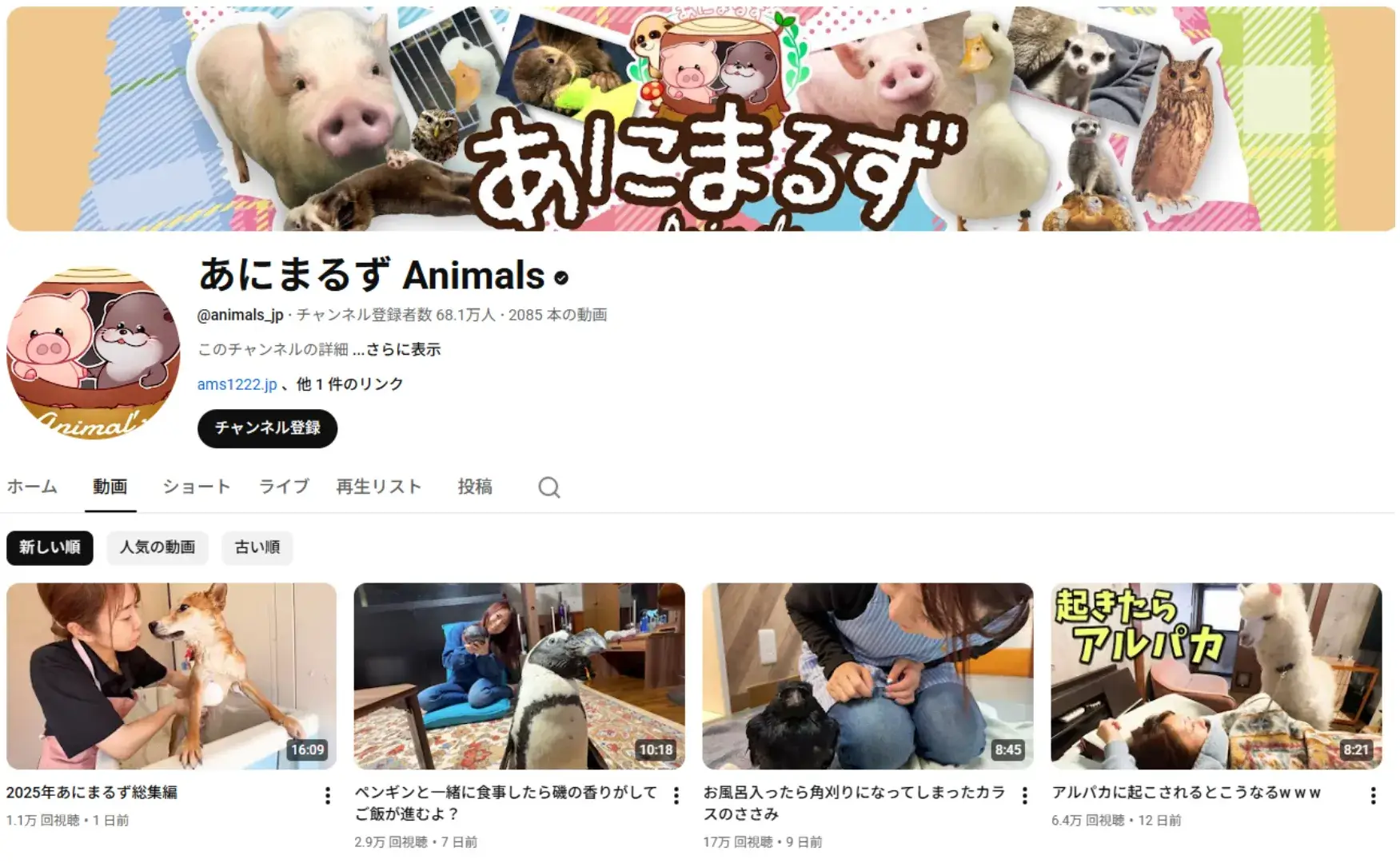 youtube-influencer-animals-jp