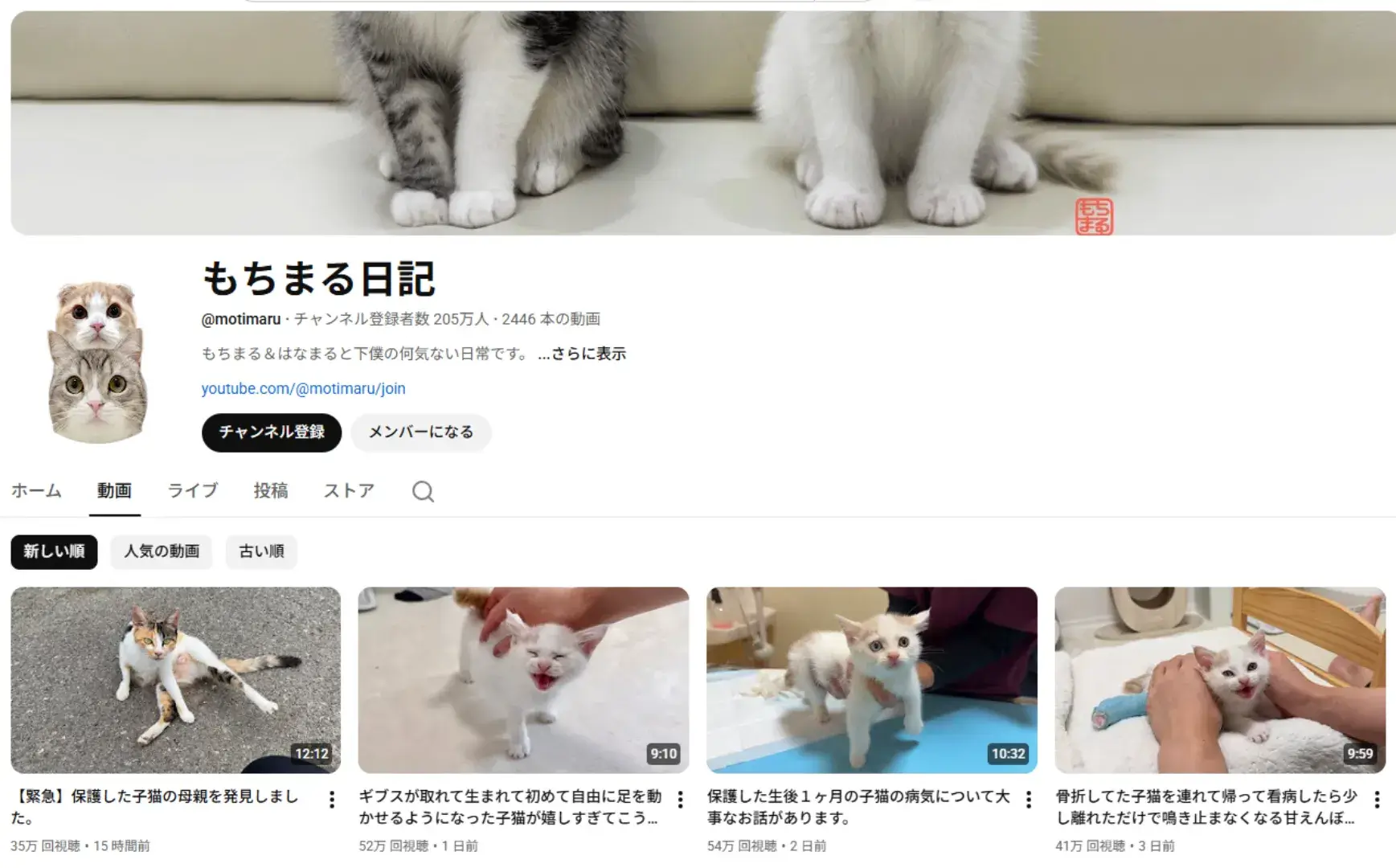 youtube-influencer-motimaru