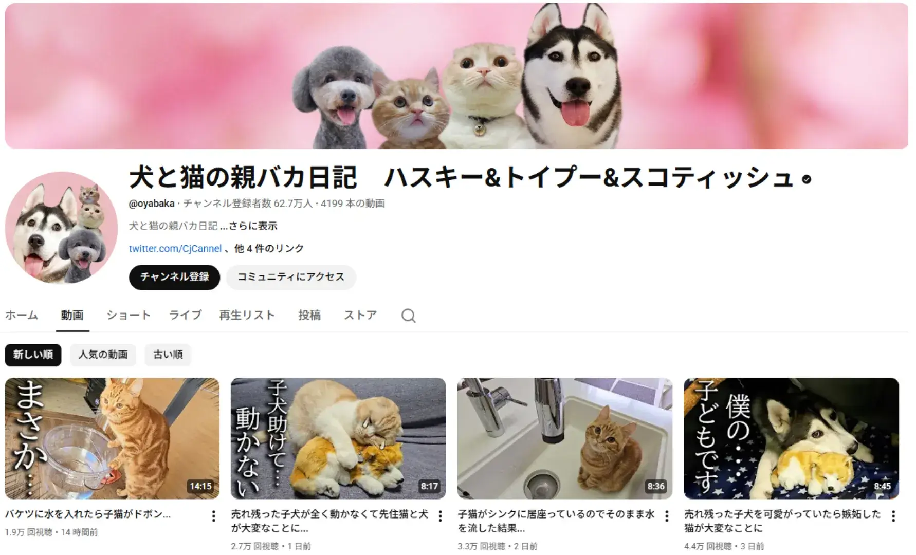 youtube-influencer-oyabaka