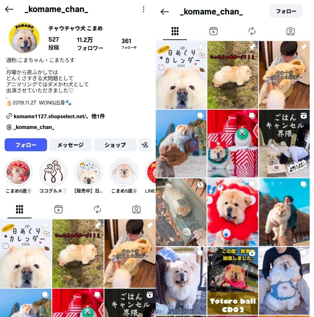 instagram-influencer-komame_chan