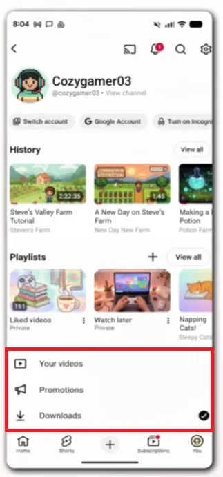 youtube_video_management