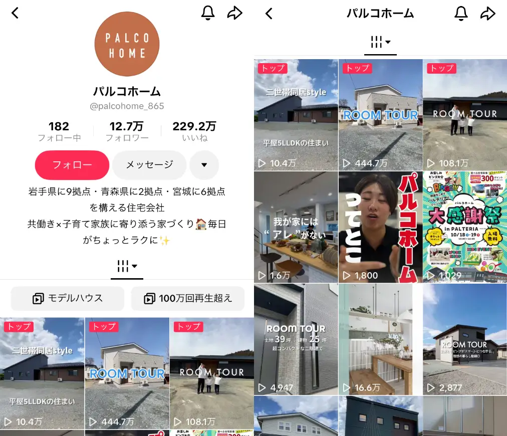 TikTok-palcohome_865