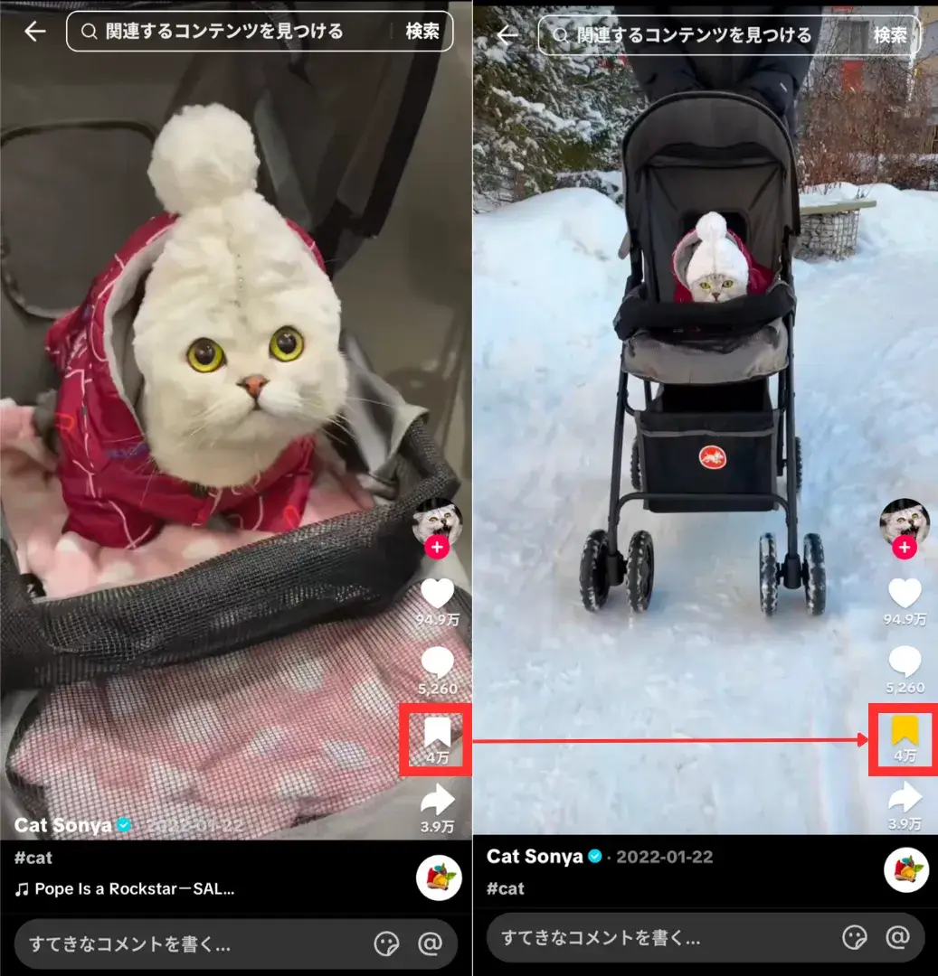 tiktok-save-video-button1