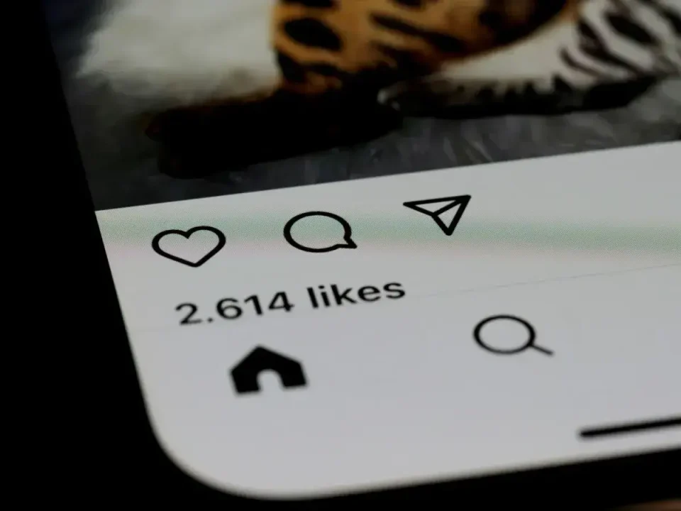 instagram-likes-check