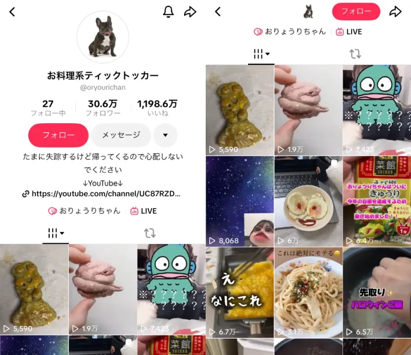 TikTok-oryourichan