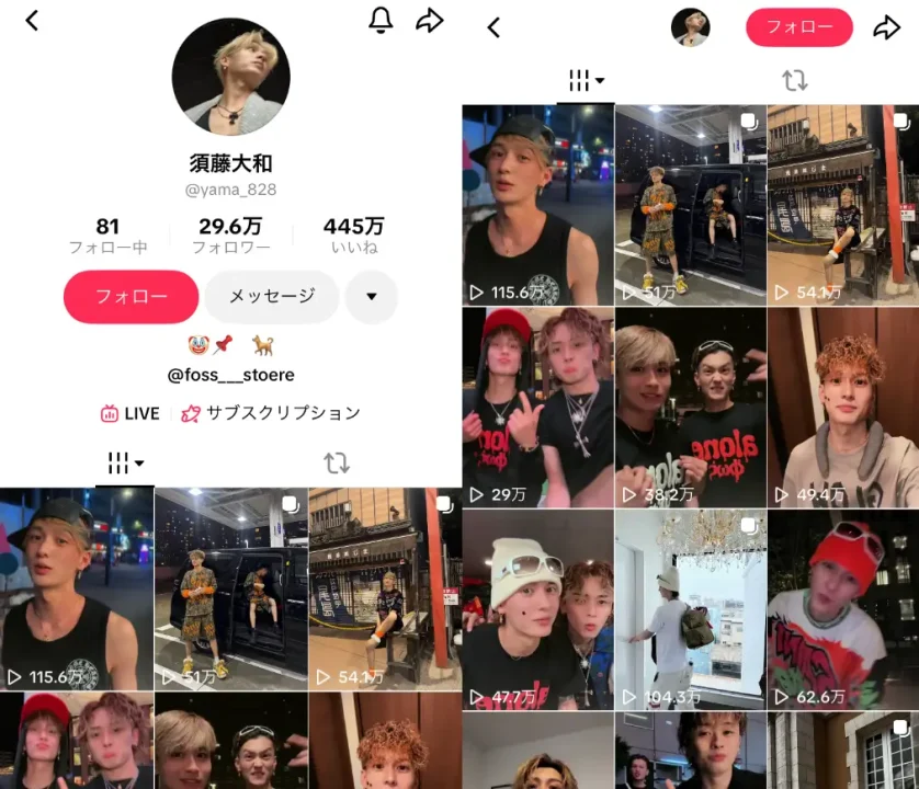 TikTok-yama_828