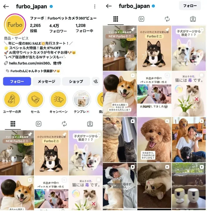 instagram-account-furbo-japan