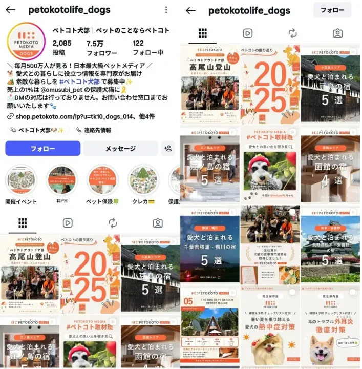 instagram-account-petokotolife-dogs