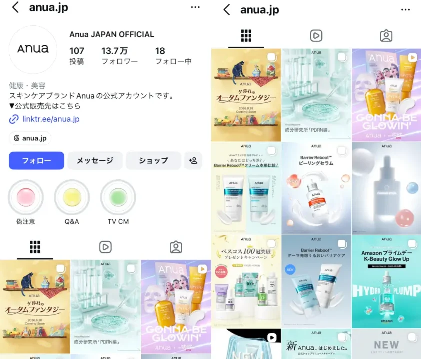 Instagram-anua.jp