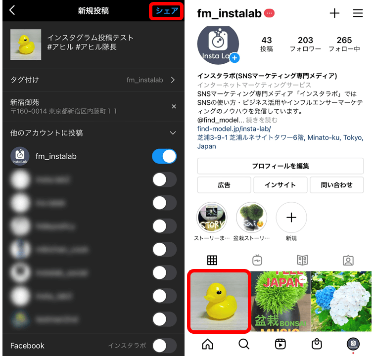 instagram-shoot-post-5